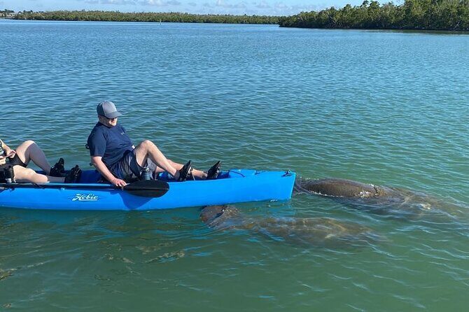 Deluxe Pedal Kayak Tour Marco Island and Naples, Florida - Detailed Tour Breakdown