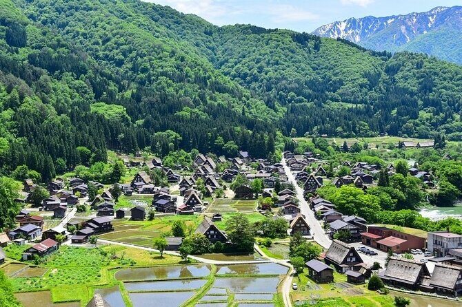 Departing from Takayama [Regular sightseeing bus] World Heritage Sites Shirakawago and Gokayama Ainokura - Authentic Experiences and Practical Tips