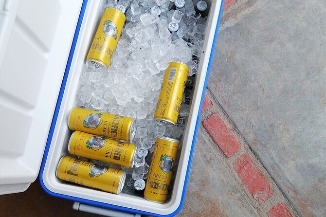 Departure shuttle to Cabo Airport - Why This Transfer Stands Out