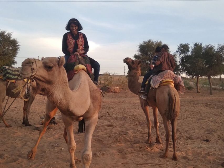 Desert Jeep Safari & Camel Safari Tour From Jodhpur - FAQ