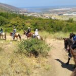 Desert Peaks on Horseback, Exploring Mountain Trails of Ensenada - Authenticity and Value