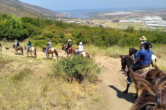Desert Peaks on Horseback, Exploring Mountain Trails of Ensenada - Authenticity and Value