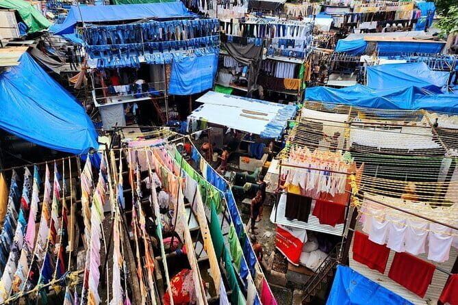 Dharavi Slum, Dhobi Ghat & Dabbawala Experience - Final Thoughts: Why You Should Consider This Tour
