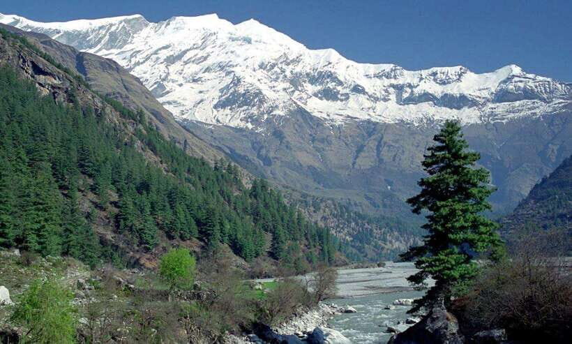 Dhaulagiri Expedition 2025/2026 - The Climbing Phase