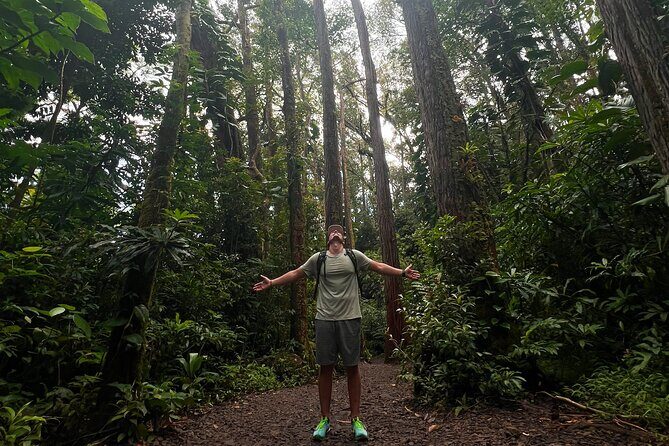 Diamond Head and Manoa Falls Hike and Adventure Tour - Who Is This Tour Best For?