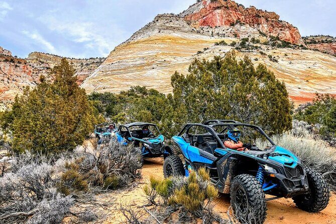 Diana's Throne UTV Adventure Near Zion National Park - Why This Tour Offers Great Value
