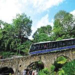 Dinner at Penang Hill Including Train Ride - Exploring the Experience in Detail