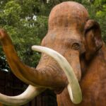 Dinosaur World Cave City - Who Should Visit?