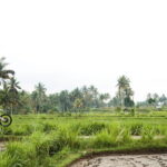 Dirt Bike Adventure at Kuta Lombok - The Sum Up