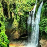 Discover Bali Your Way With Aman Bali Driver - FAQ