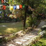 Discover Dharamshala's monasteries for Tibetan spirituality - What This Tour Means for You