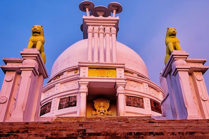 Discover Dhauli Shanti Stupa Bhubaneswar(Guided Halfday Sightseeing Tour by Car) - Who is This Tour Best For?