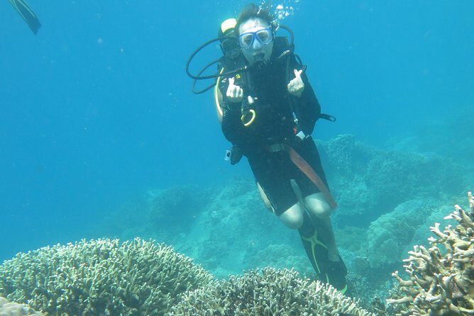 Discover Nha Trang Bay with Scuba Diving Tour - What’s Included and What You Should Know