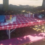 Discover Niagara's hidden gems on a private tour - The Sum Up