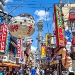 Discover Osaka, Private Customizable Tour with Expert Guides - Who Will Love This Tour?
