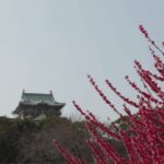 Discover Osaka:Private Walking Tour of the Citys Best Spots - Moving to Tennoji Park and Shinsekai