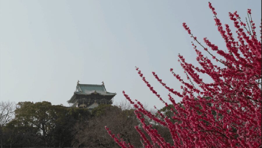 Discover Osaka:Private Walking Tour of the Citys Best Spots - Moving to Tennoji Park and Shinsekai