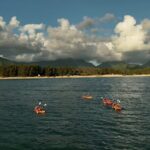 Discover Popoia Island and Kailua Bay by Kayak Guided Tour - Who Would Love This Tour?