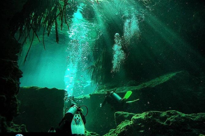 Discover Scuba Diving at Casa Cenote - The Sum Up