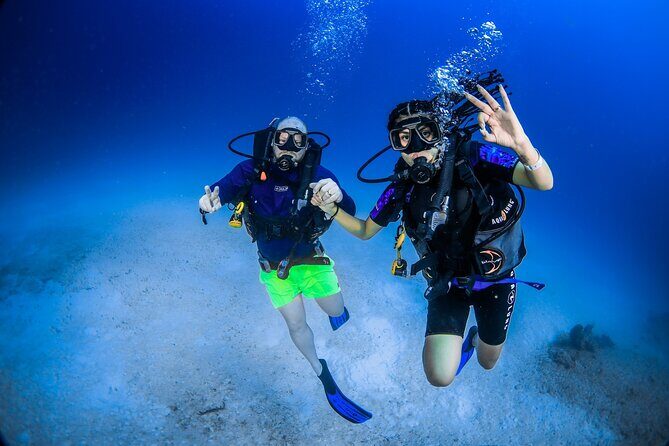 Discover Scuba Diving & Beach Club with Transportation In Riviera Maya - Who Should Consider This Tour?