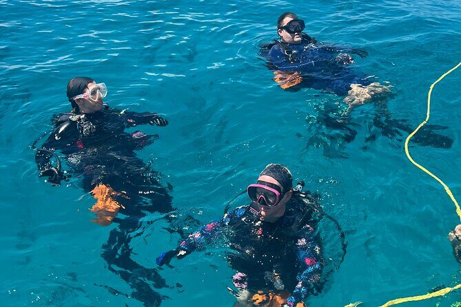 Discover Scuba Diving Course Pool Training Session in Key Largo. - Practical Tips for Participants