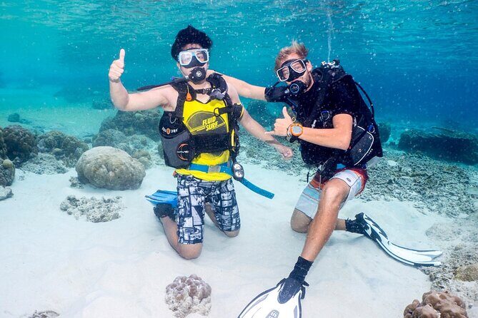 Discover Scuba diving in El Nido - The Marine Environment of El Nido