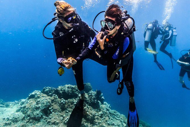 Discover Scuba Diving in Tulamben - Diving Initiation in Bali best diving sites - A Deep Dive into the Experience