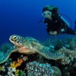 Discover Scuba Diving in Waikiki - Who Should Book This Tour?