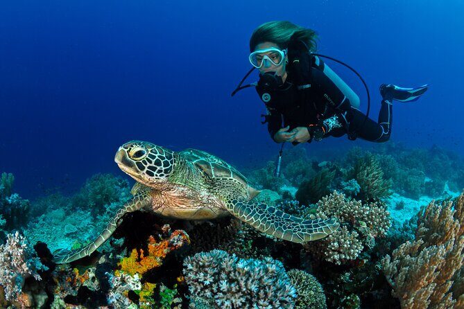 Discover Scuba Diving in Waikiki - Who Should Book This Tour?