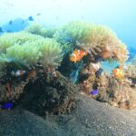 Discover Scuba Diving Tulamben Bali For Non-Certified Divers - How the Itinerary Breaks Down