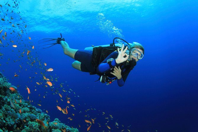 Discover Scuba diving with 2 dives on Koh Tao - Key Points