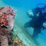 Discover Scuba experience at Las Caletas, Puerto Vallarta - FAQs