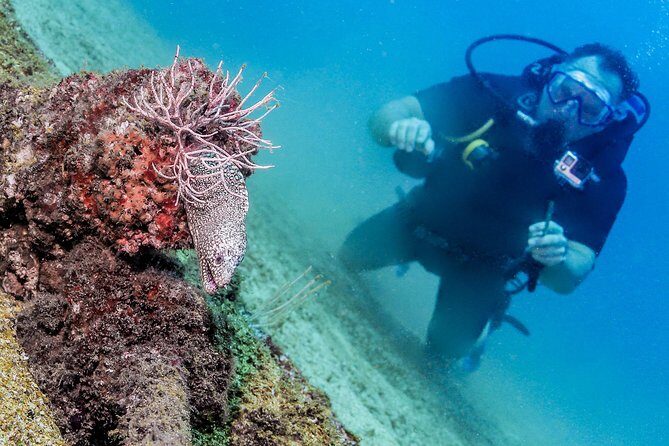Discover Scuba experience at Las Caletas, Puerto Vallarta - FAQs