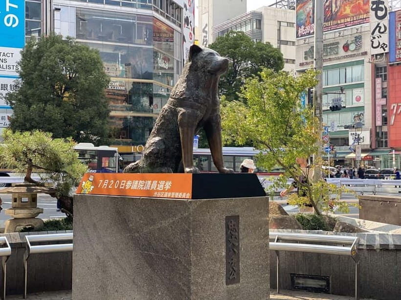 Discover Shibuya Culture and Street Life with a Local Guide - Practical Details & What You Should Know