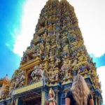 Discover Sigiriya Dambulla and Minneriya Park in Day Tour - A Detailed Look at the Experience