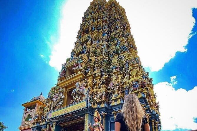 Discover Sigiriya Dambulla and Minneriya Park in Day Tour - A Detailed Look at the Experience