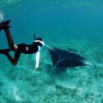 Discover South Ari Atoll - Full Day Tour from Male city - Who Should Consider This Tour?