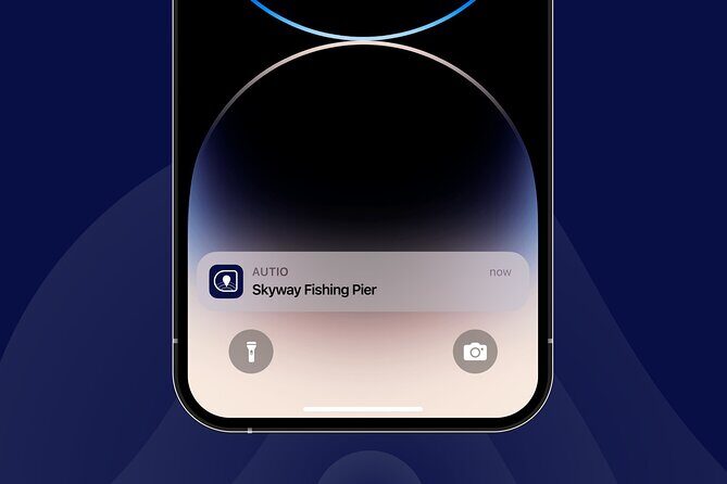 Discover Tampa with Local Stories from a Virtual Tour - What Travelers Say and Why It Matters