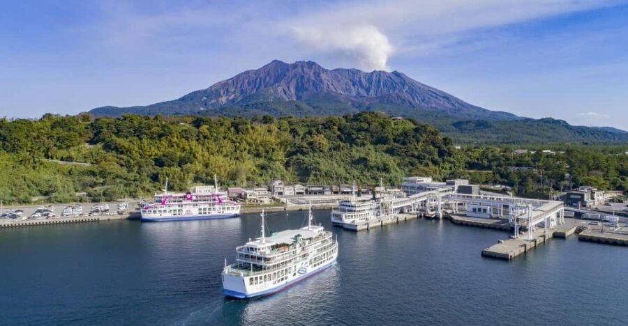 Discover the Wonder of Sakurajima Half Day Tour in Kagoshima - In-Depth Review of the Sakurajima Half Day Tour