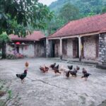 Discover Trang An Natural World Heritage, Bich Dong Pagoda, Cycling Day Tour - Who Should Consider This Tour?