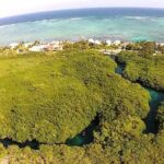 Discovering Breathtaking Cenotes in Tulum - Who Is This Tour Best Suited For?