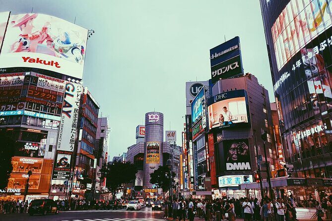 Discovering Shibuya - Final Thoughts: Does It Offer Value?