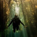 Discovery Scuba Diving - A Deep Dive into the Experience