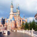 DisneyLand/Sea Ticket & Private Morning Ride from Hotel in Tokyo! - Final Thoughts