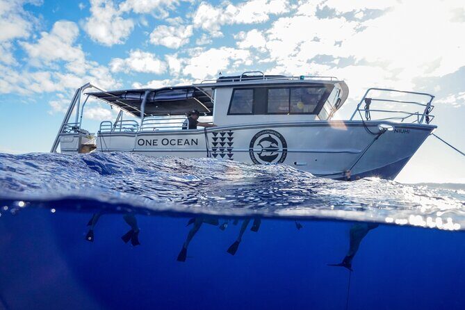 Dive with Sharks in Hawaii: Shark Tour from Haleiwa - Who Should Consider This Tour?