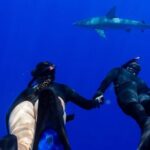 Dive with sharks in Oahu Hawaii: Educational Tour (No cage) - FAQ About the Oahu Shark Snorkeling Tour