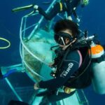 Diving at Koh Chang, daytrip with 2 dives - A Closer Look at the Koh Chang Dive Trip