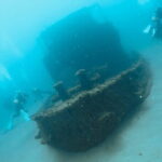 Diving in Kansai, Japan for License Holders - The Dive Sites and Underwater Experience