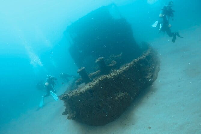 Diving in Kansai, Japan for License Holders - The Dive Sites and Underwater Experience