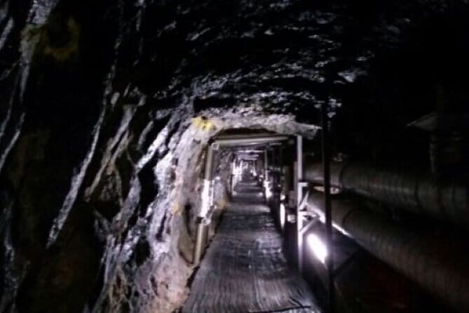 DMZ Tour and Leeum Museum - Practical Details and Value